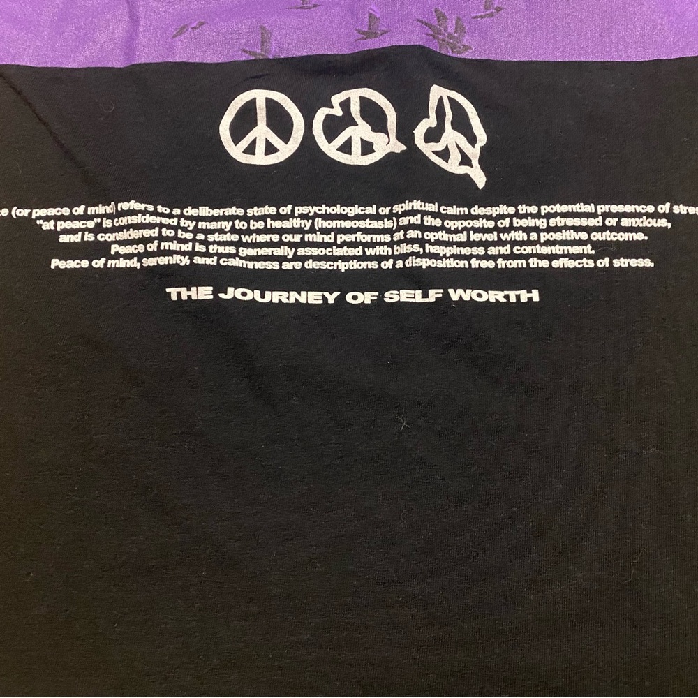 PacSun Men’s Graphic T-Shirt Peace Now Size Medium - Picture 8 of 8